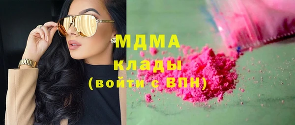 индика Заволжье