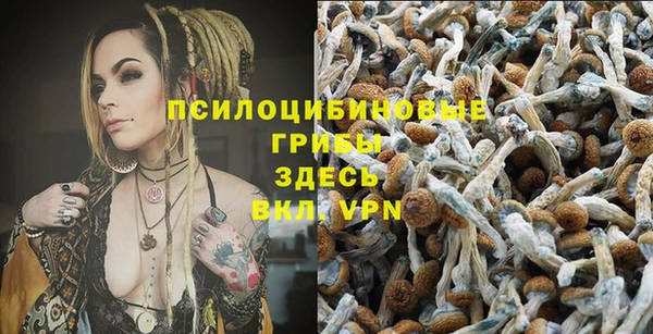 СК Верхний Тагил